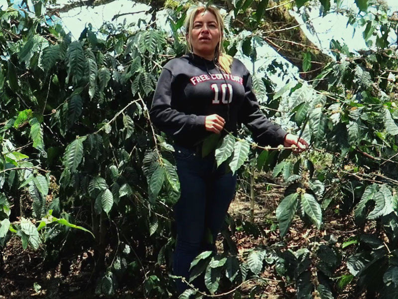 Taza Dorada 12th Place: Paula Andrea Guevara