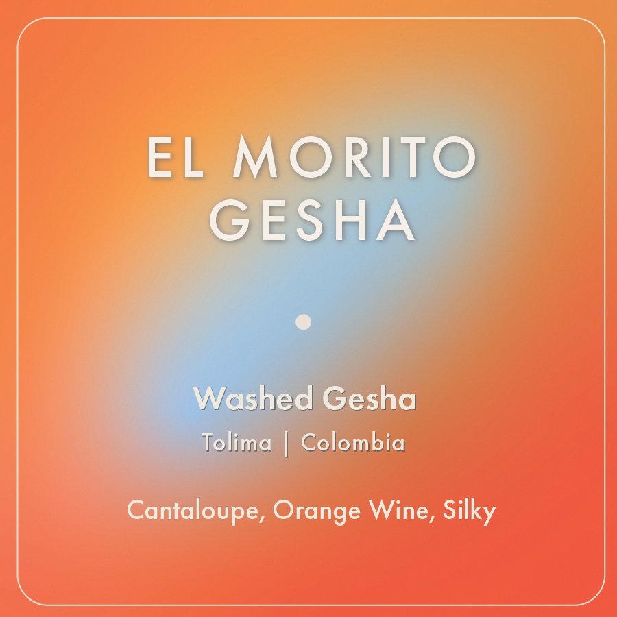 El Morito Gesha