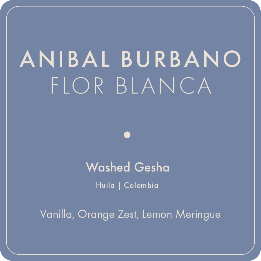 Anibal Burbano "Flor Blanca"