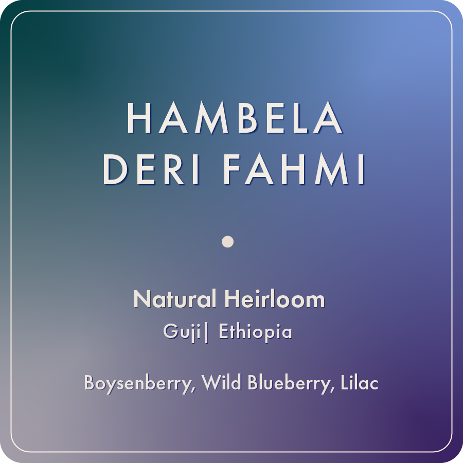 Hambela Deri Fahmi