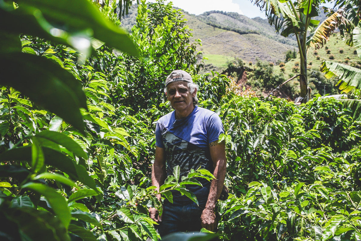 Finca La Ilusión Chiroso