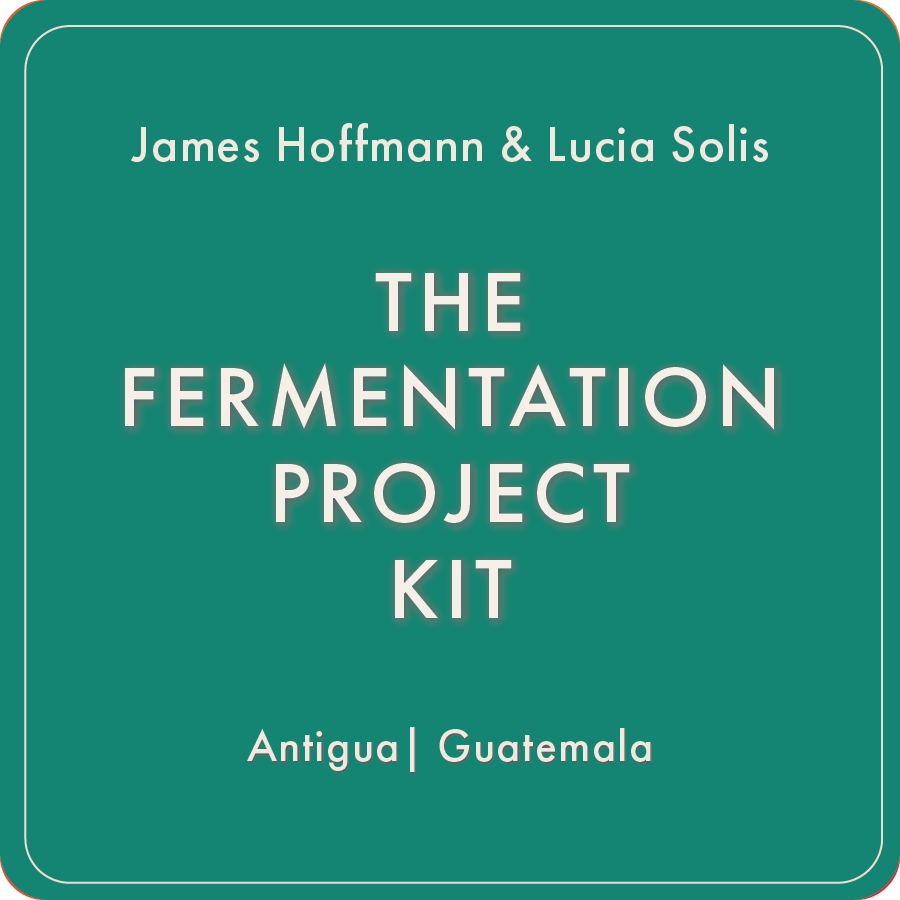 James Hoffmann Fermentation Project x Regalia
