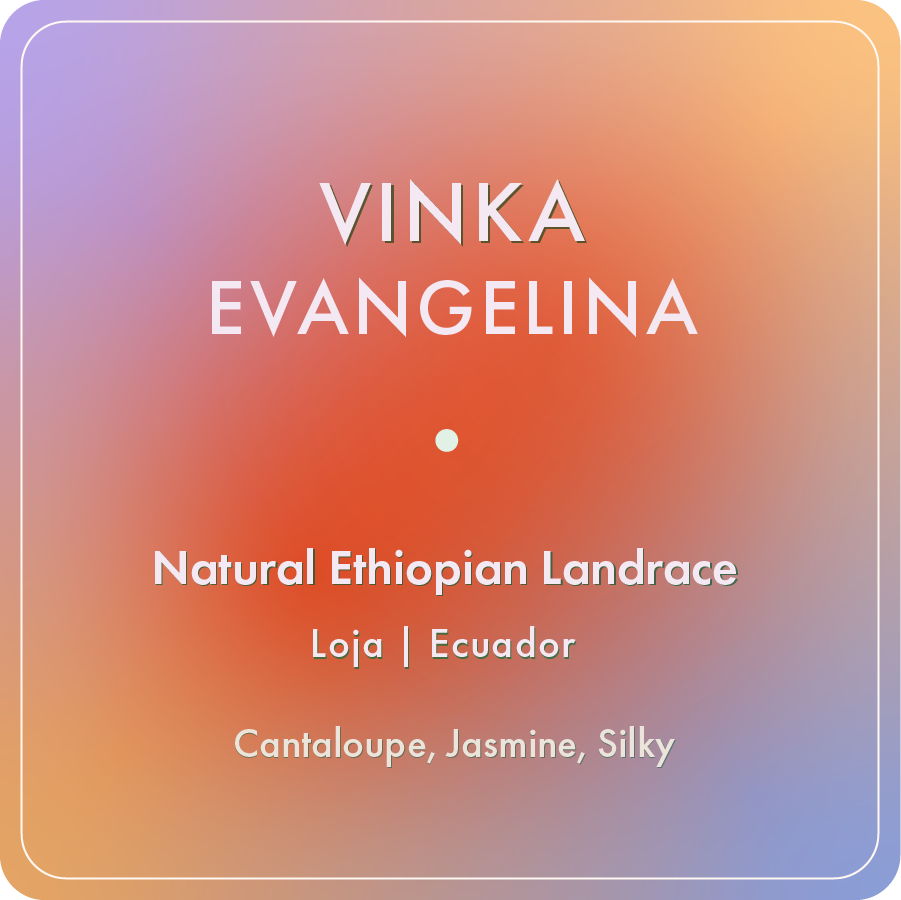 Vinka Natural Evangelina