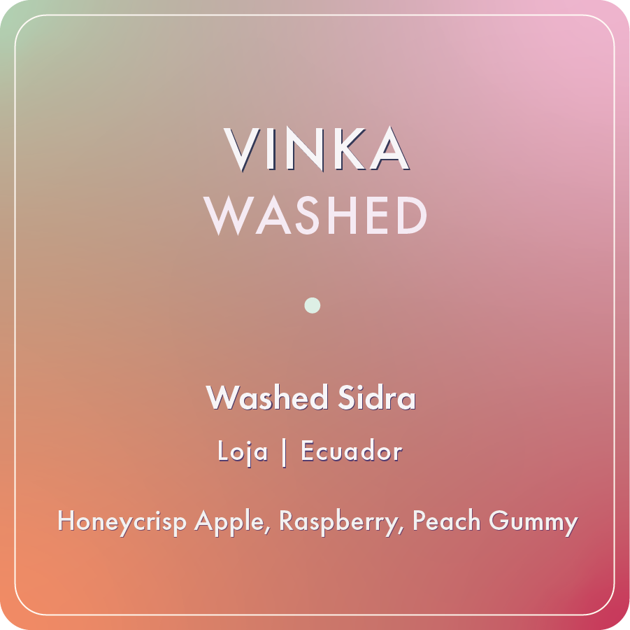 Vinka Washed Sidra