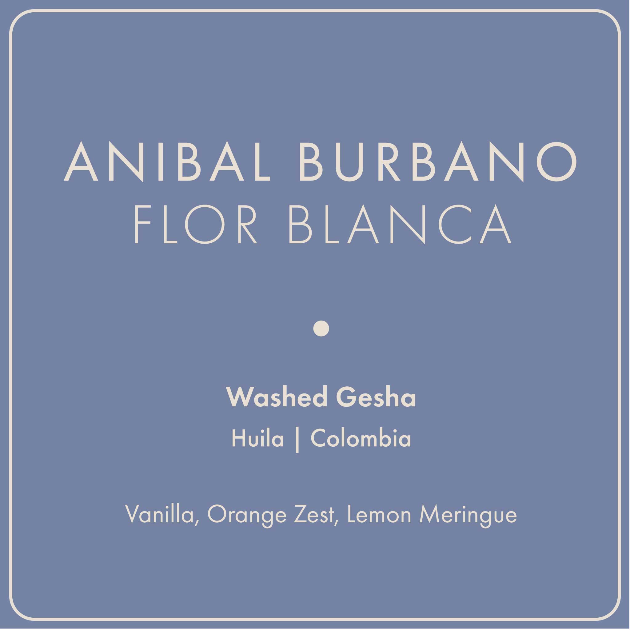 Anibal Burbano "Flor Blanca"