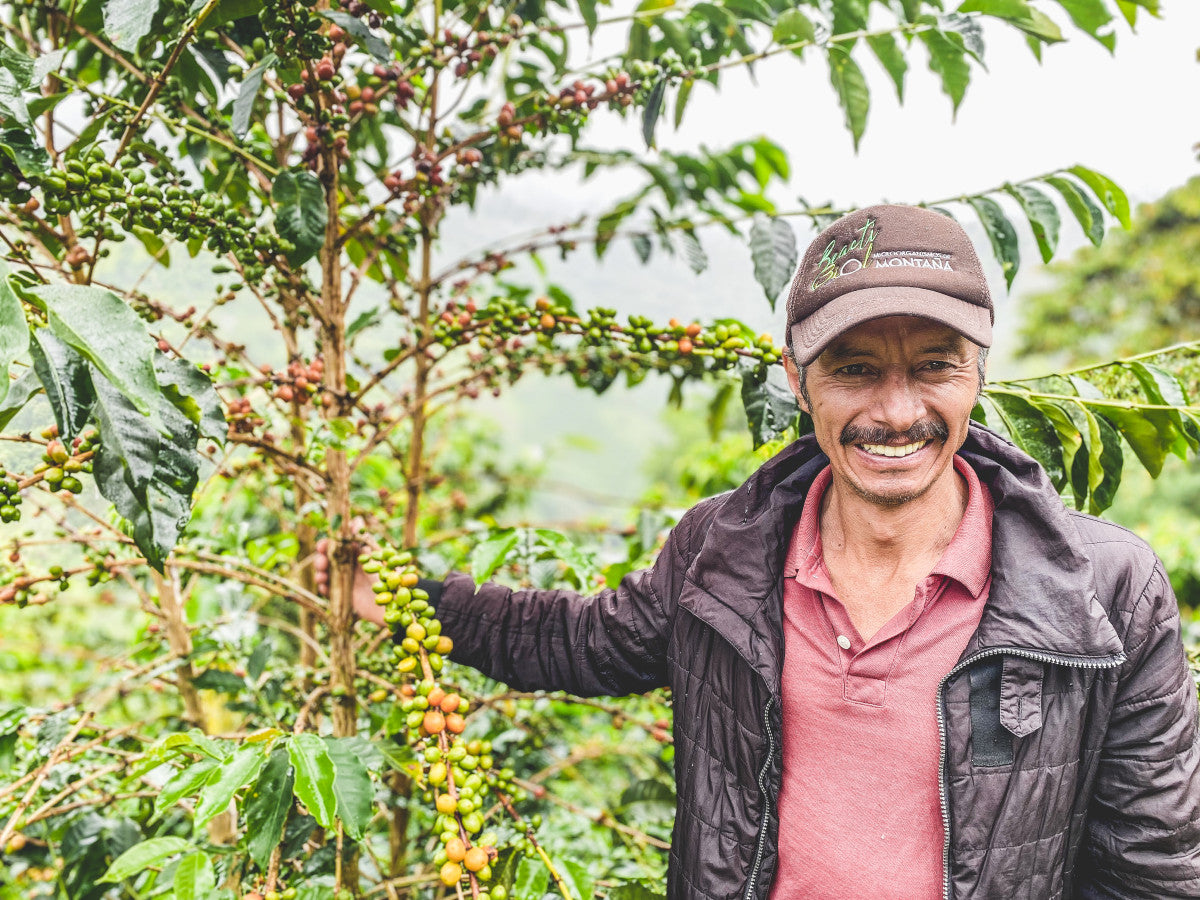 Finca Los Jazmines