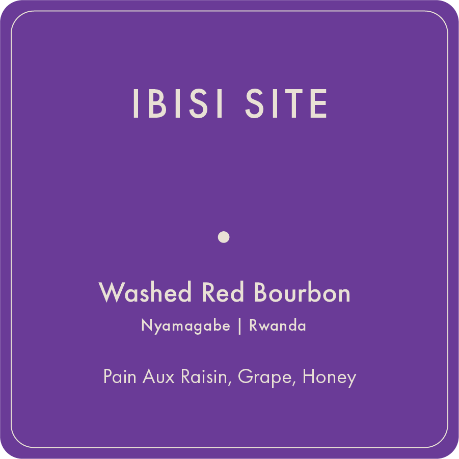 Ibisi Site