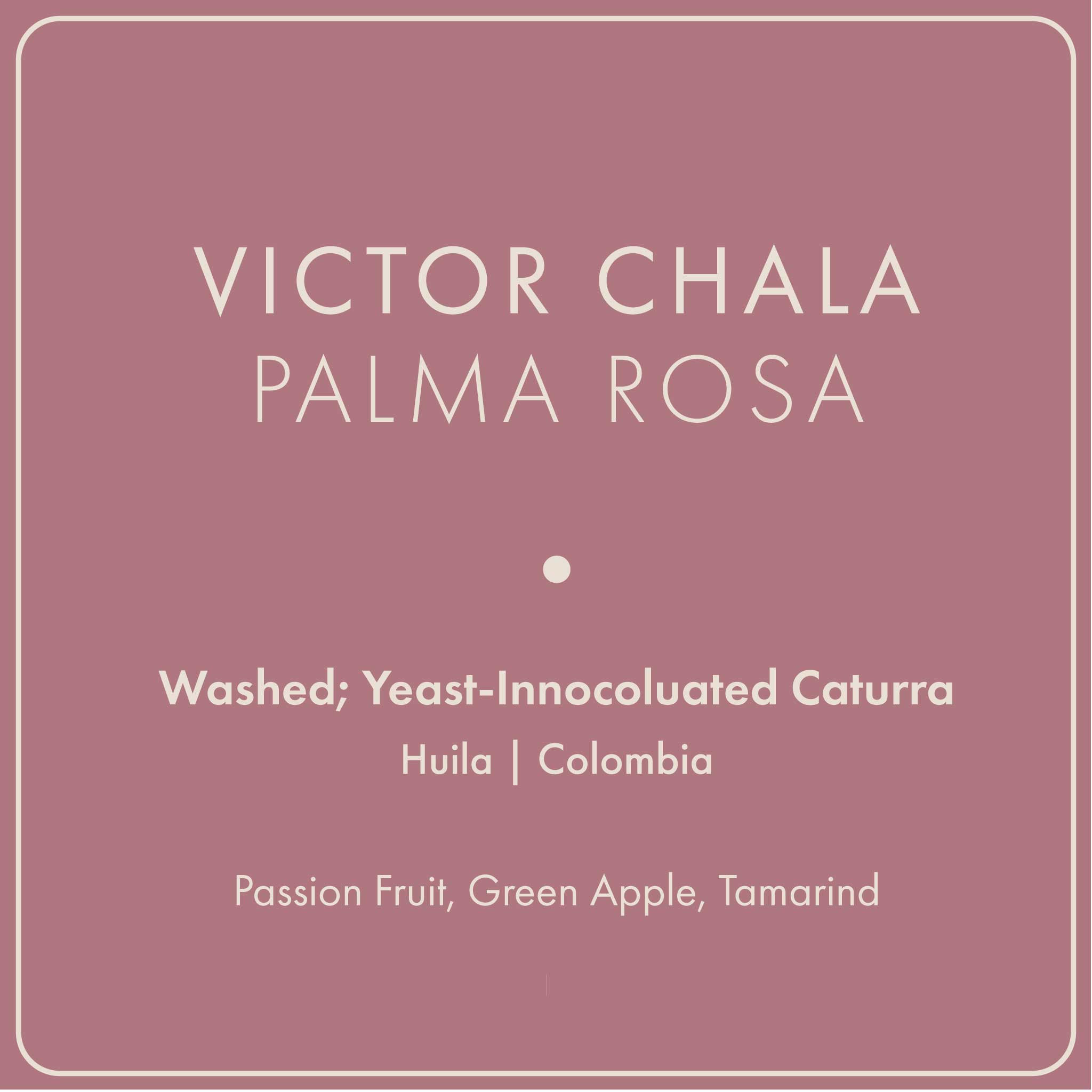 Victor Chala "Palma Rosa"