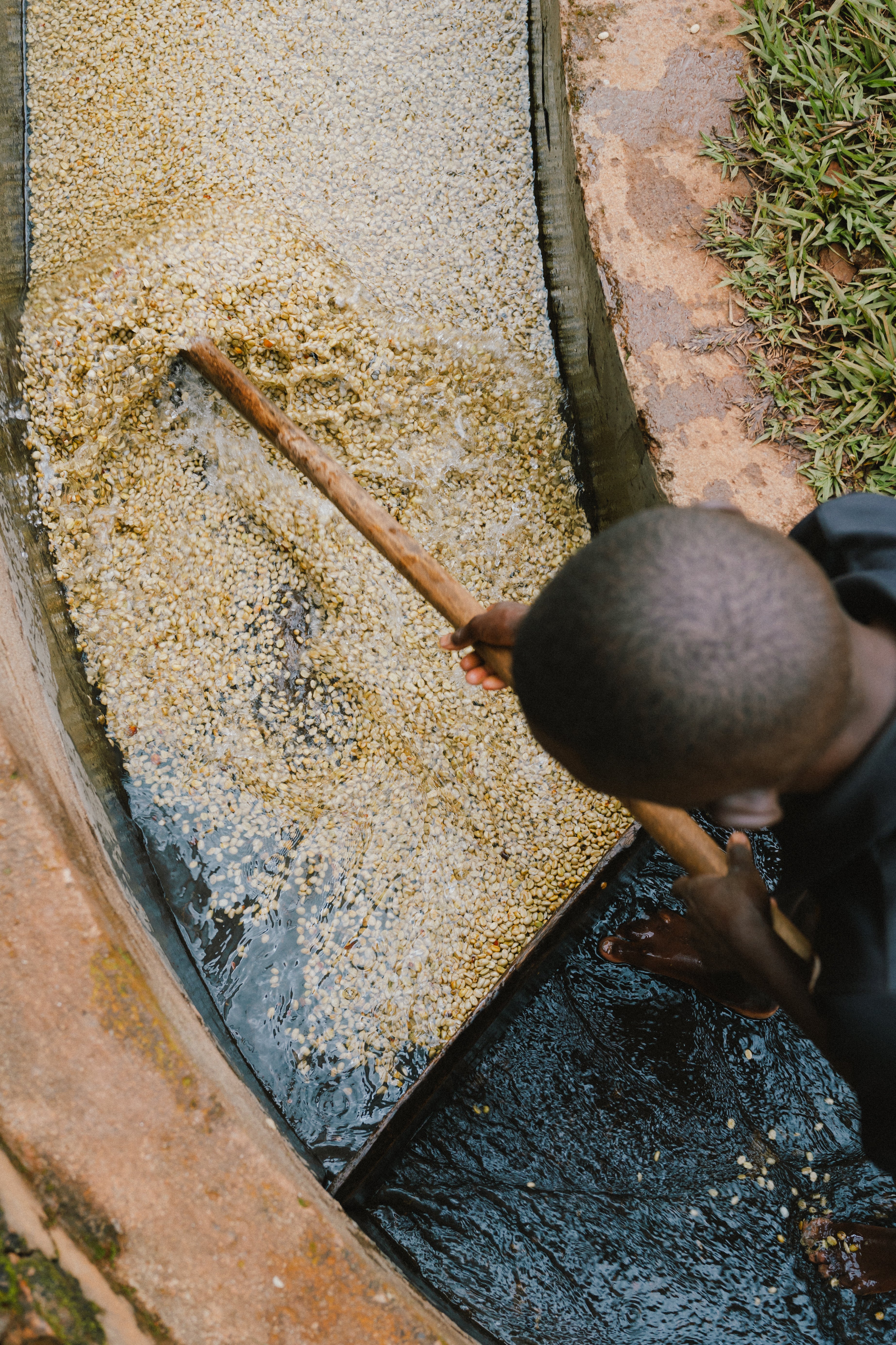 photo credit : Osito Coffee