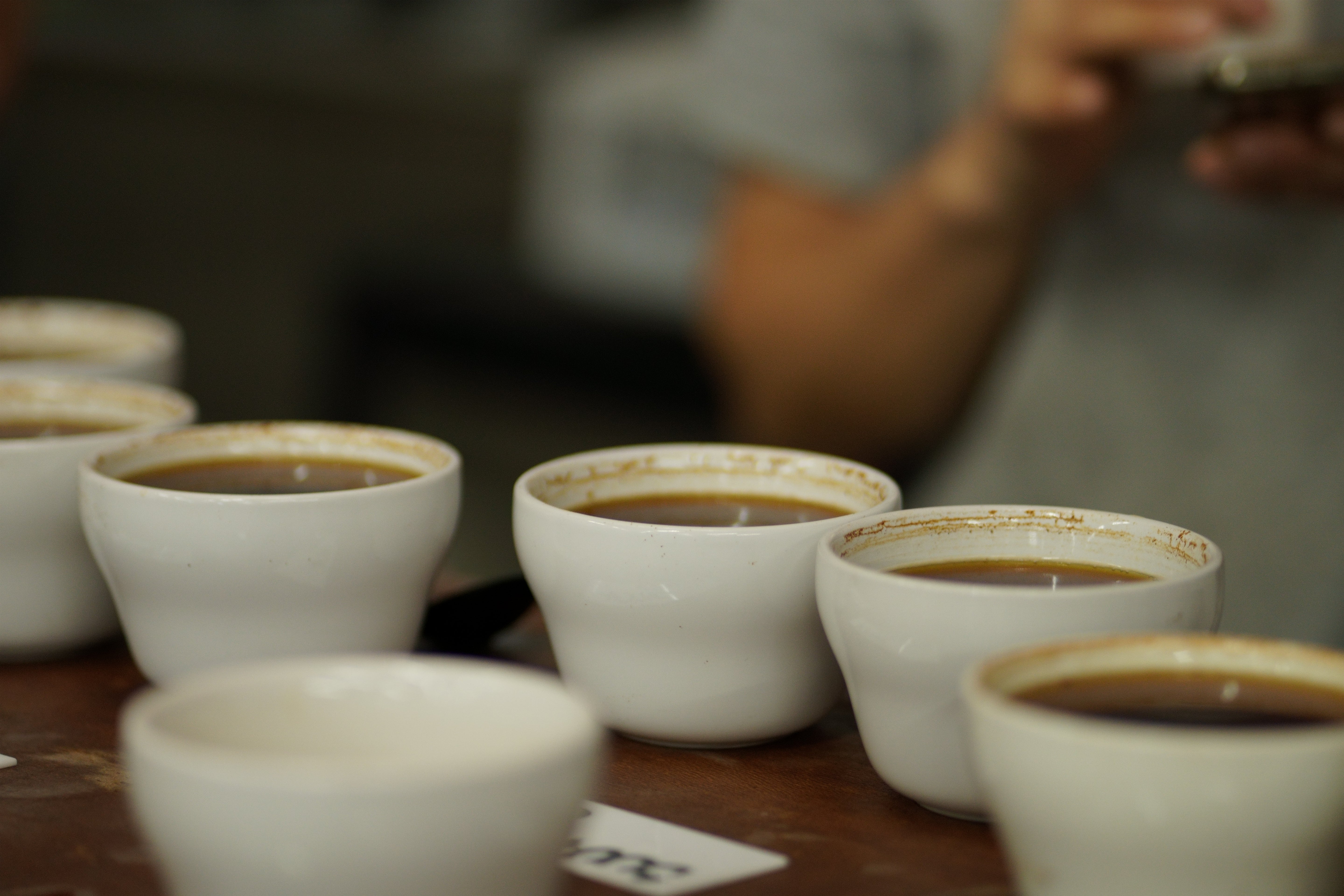Sale Coffees
