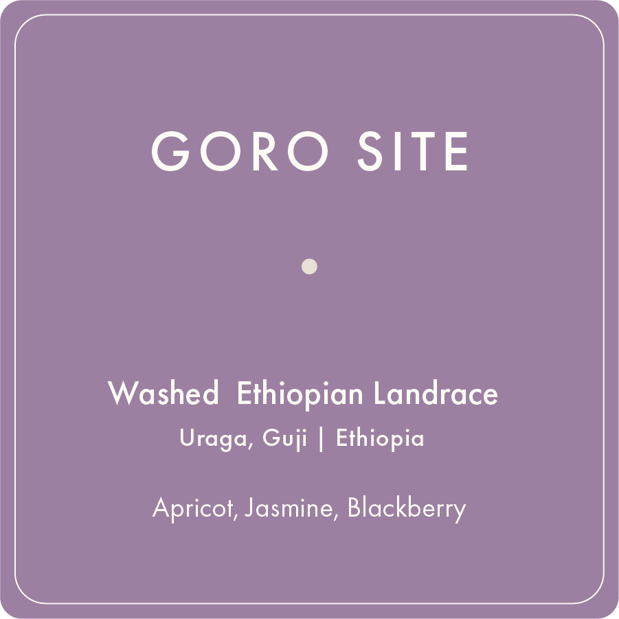 Photo of Goro Site