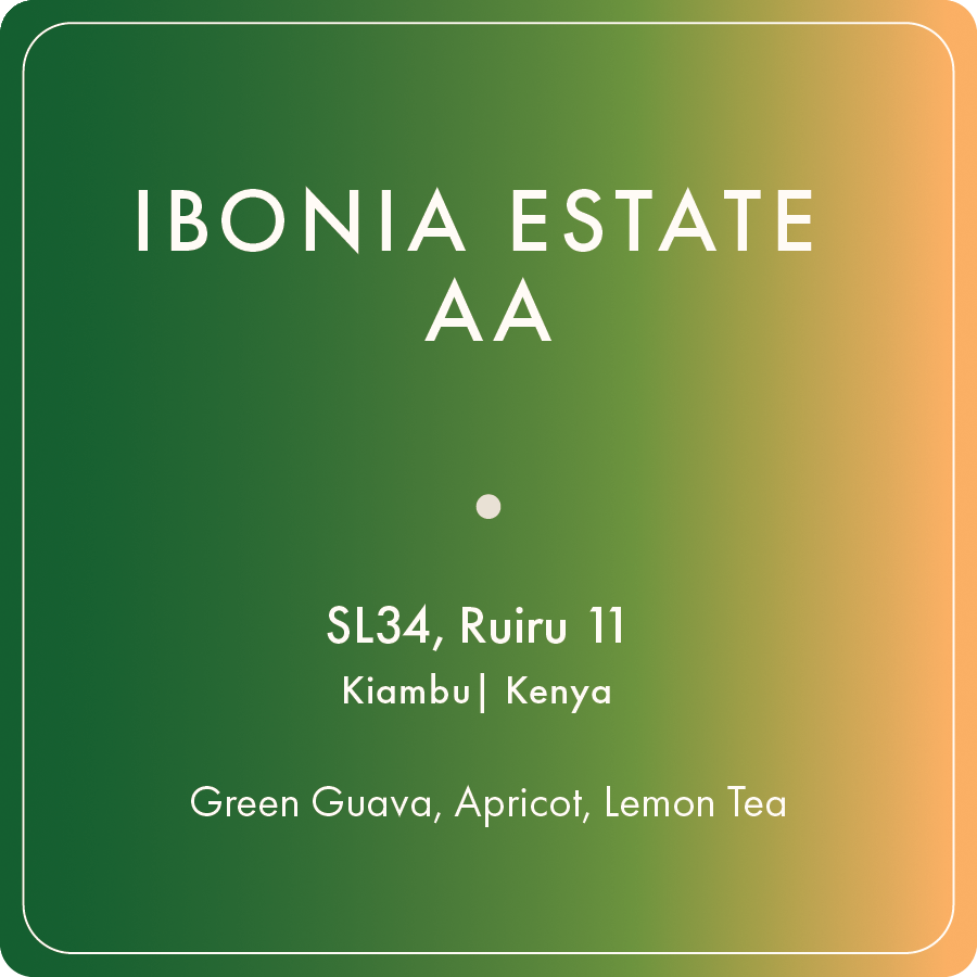 Photo of Ibonia Estate