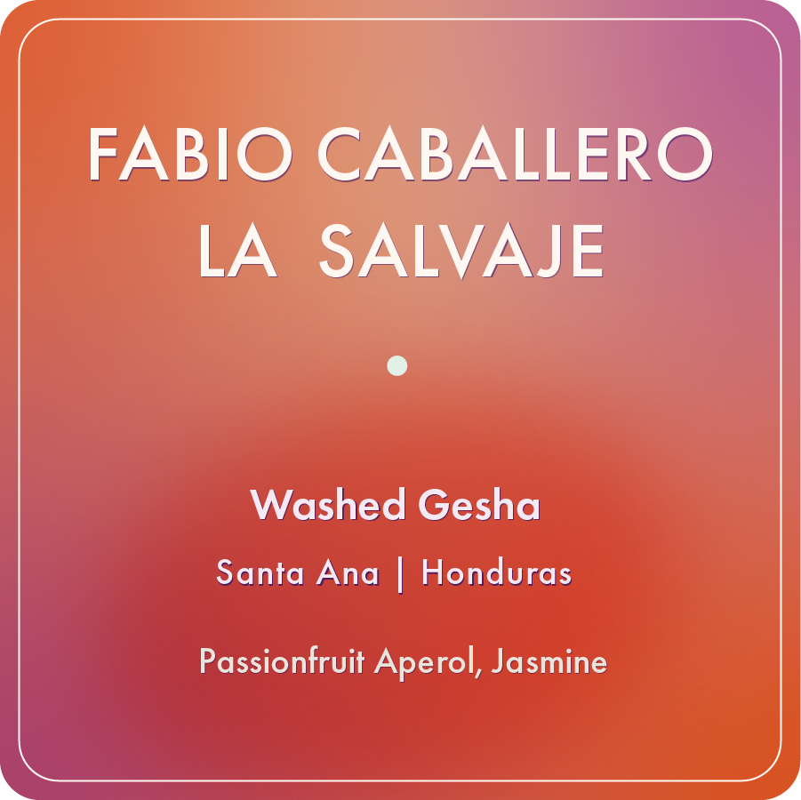 La Salvaje