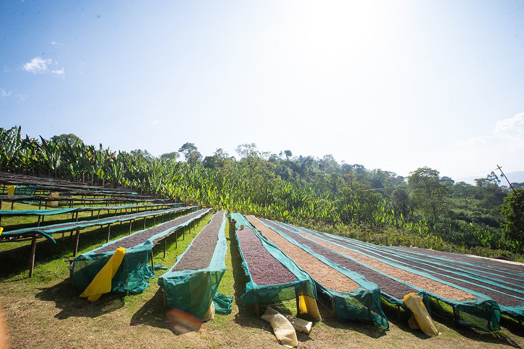 Alo Chilaka Village