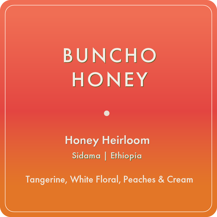 Photo of Buncho Honey