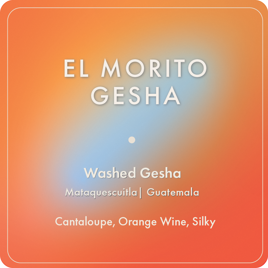 Photo of El Morito Gesha