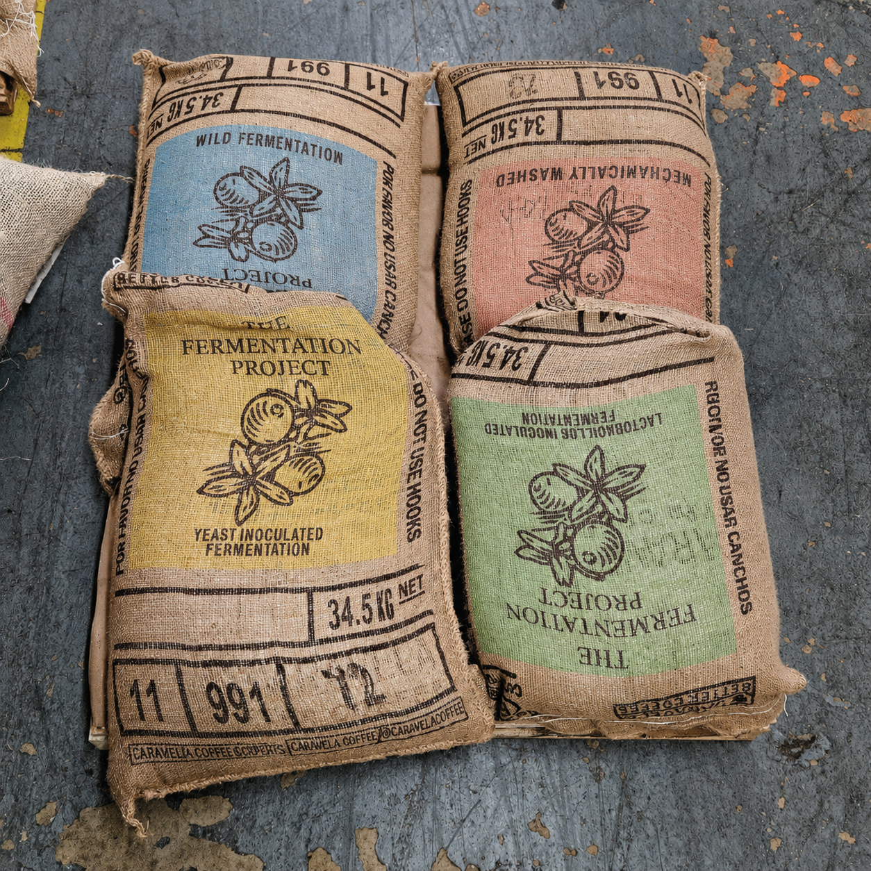 [pre-sale] James Hoffmann Fermentation Project x Regalia