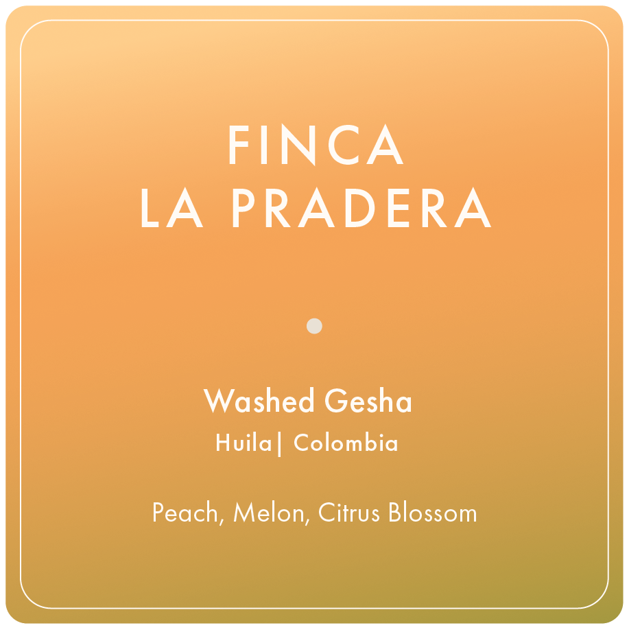 Photo of Finca La Pradera Gesha