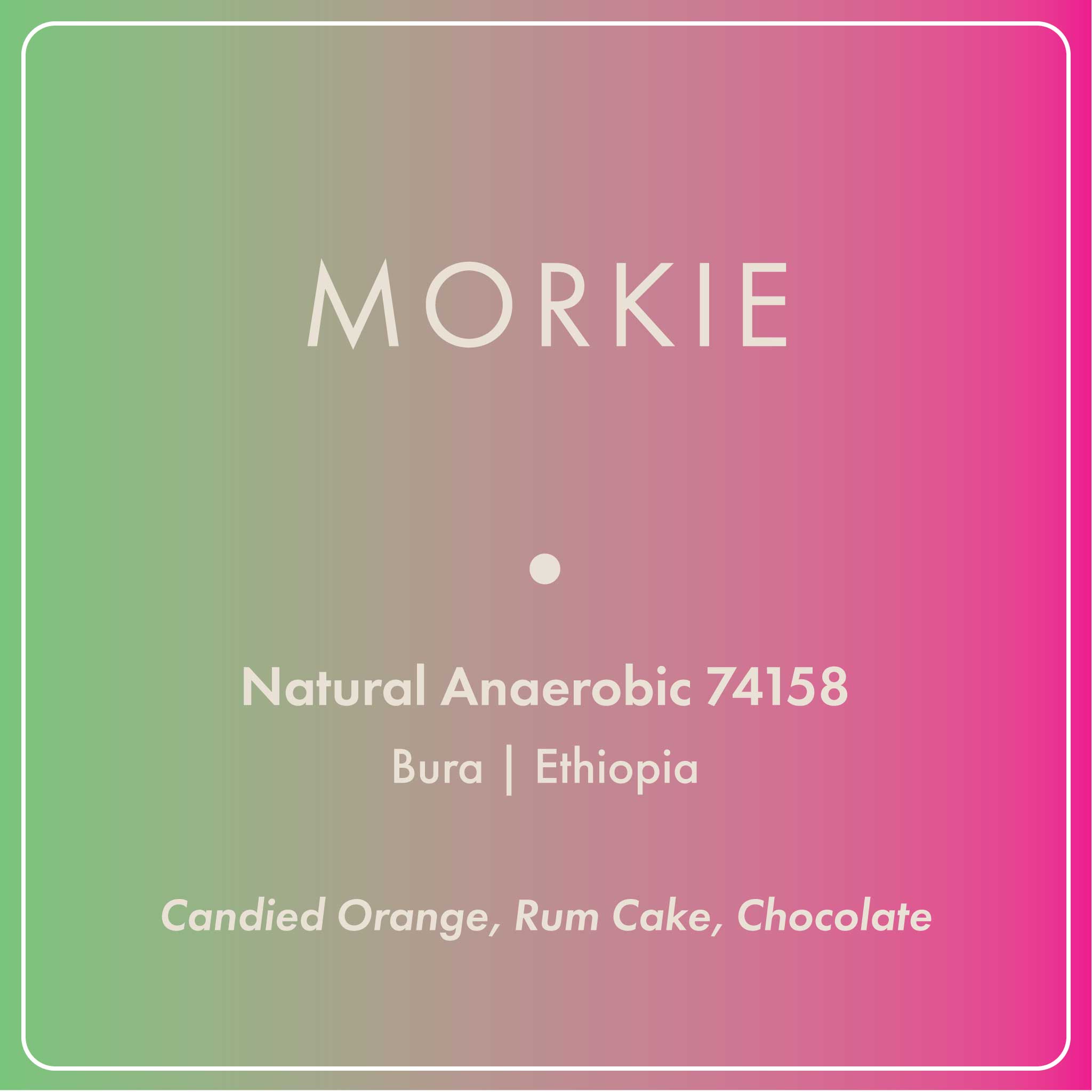 Morkie Anaerobic
