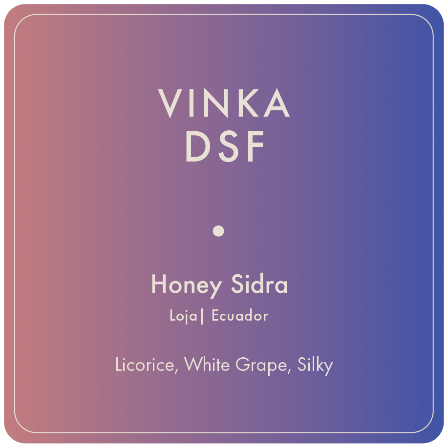 Vinka DSF