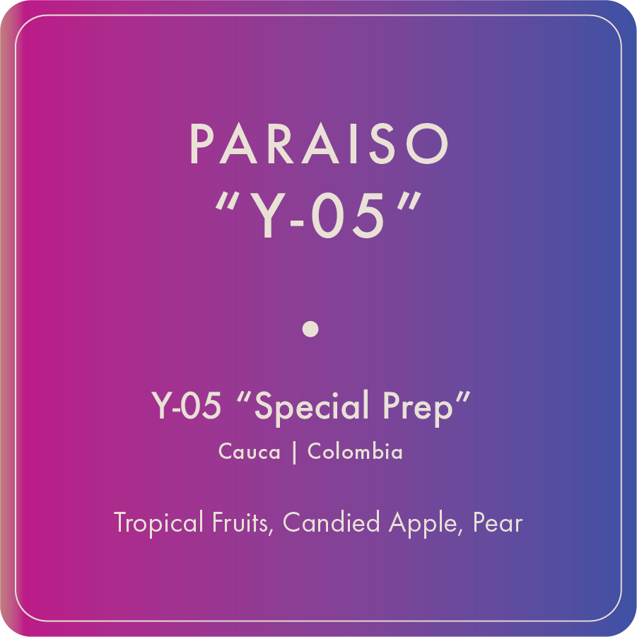 Paraiso "Y-05"